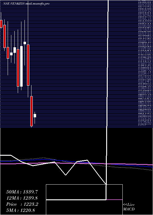  monthly chart VenkyS