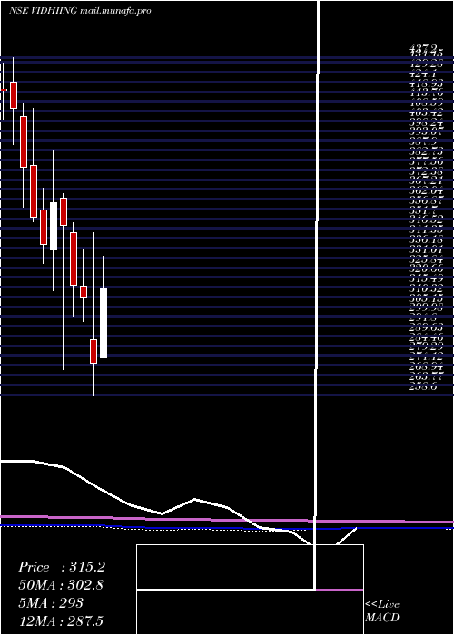  monthly chart VidhiSpclty