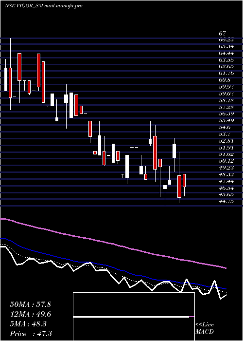  Daily chart VigorPlast