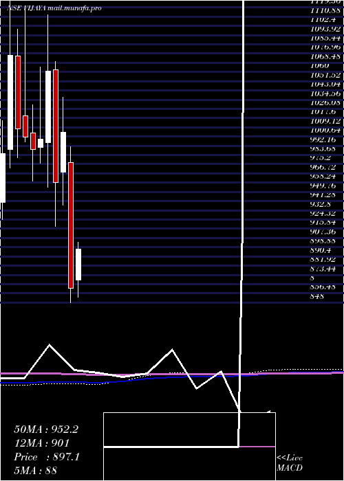 monthly chart VijayaDiagnostic
