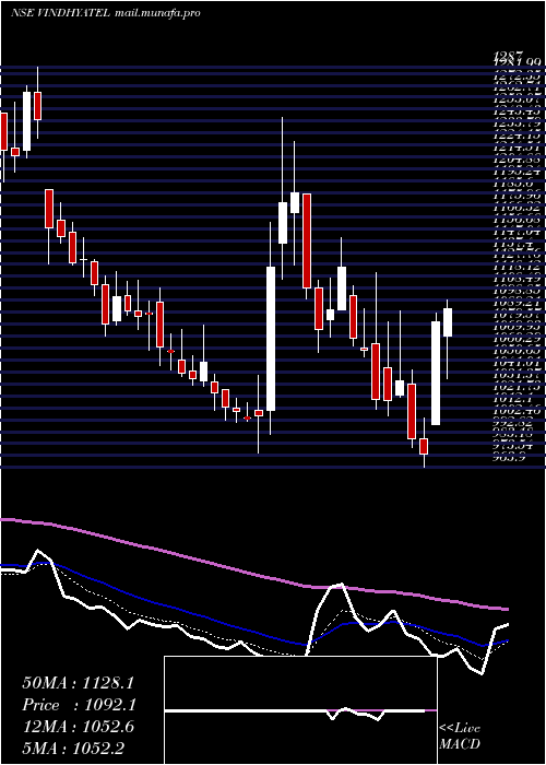  Daily chart VindhyaTelelinks