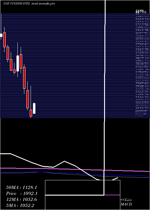  monthly chart VindhyaTelelinks