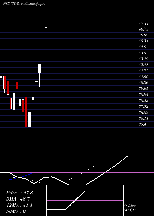  Daily chart VitalChemtech