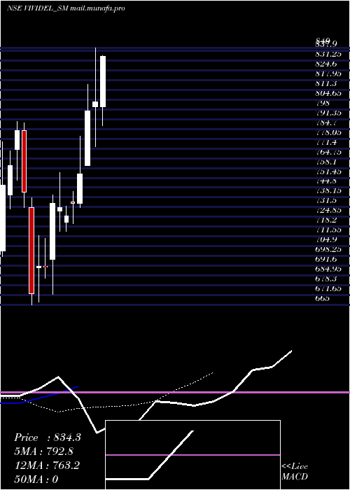  Daily chart VividElectromech