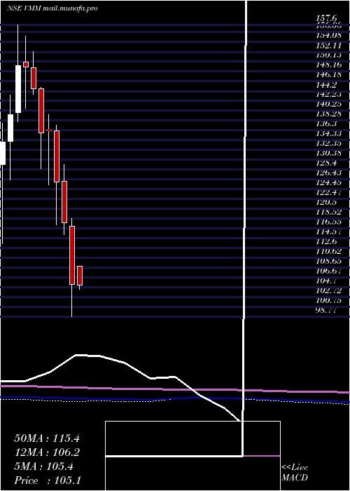  monthly chart VishalMega