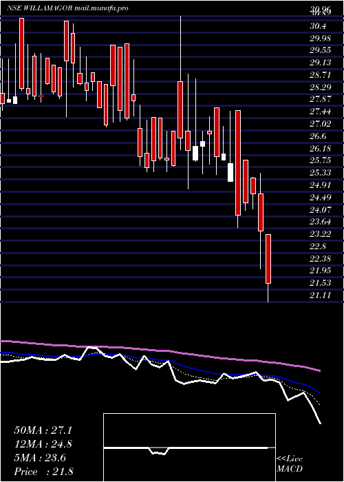  Daily chart WilliamsonMagor