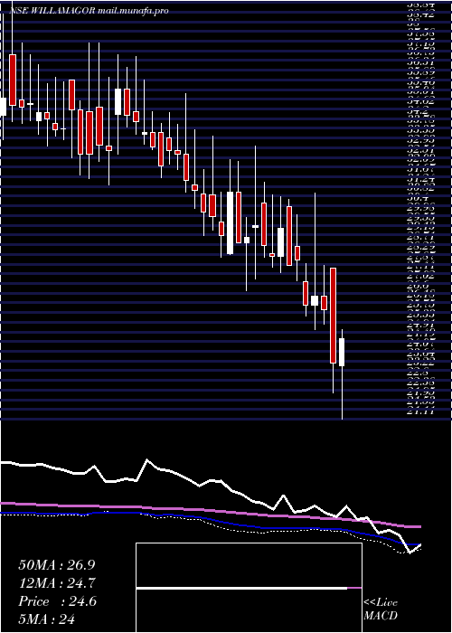  weekly chart WilliamsonMagor