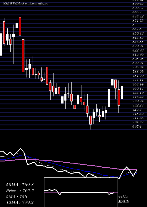  Daily chart WindlasBiotech