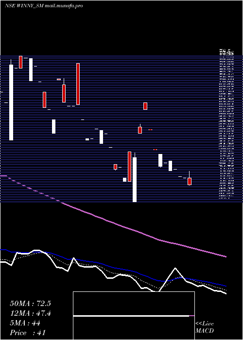 Daily chart WinnyImmigra