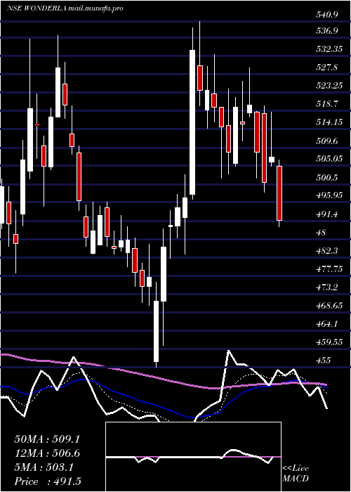 Daily chart WonderlaHolidays