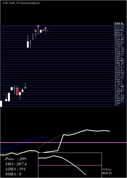  Daily chart YaapDigital