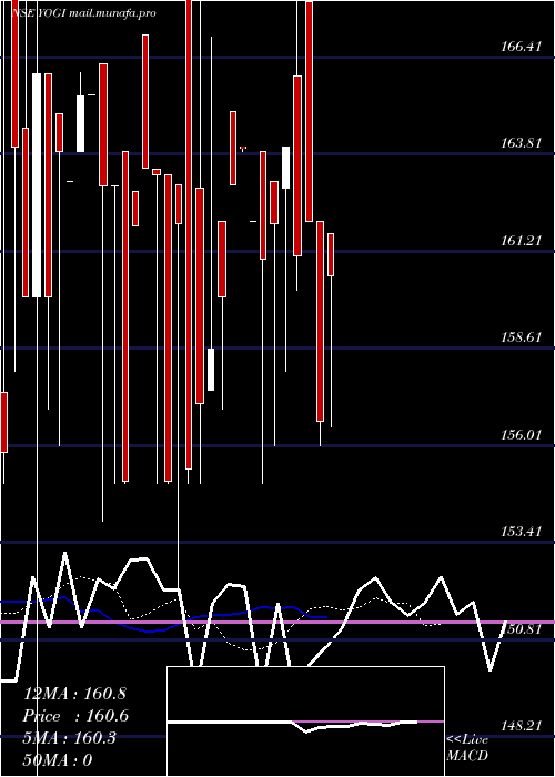  Daily chart Yogi