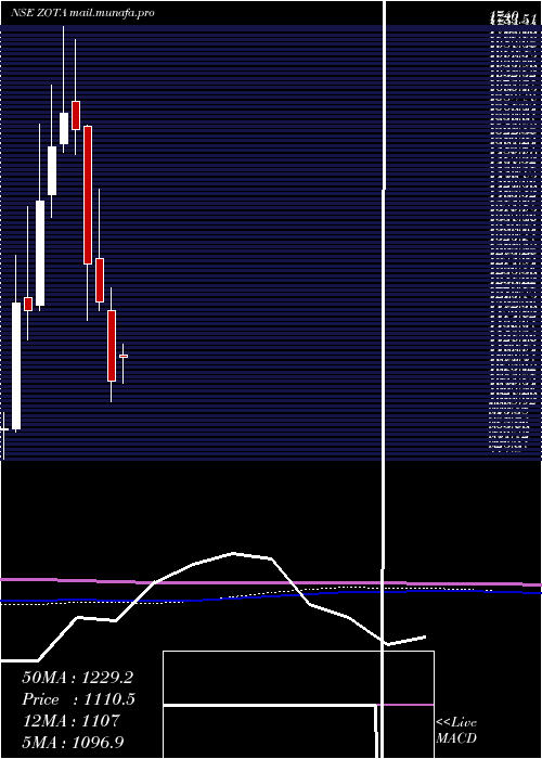  monthly chart ZotaHealth