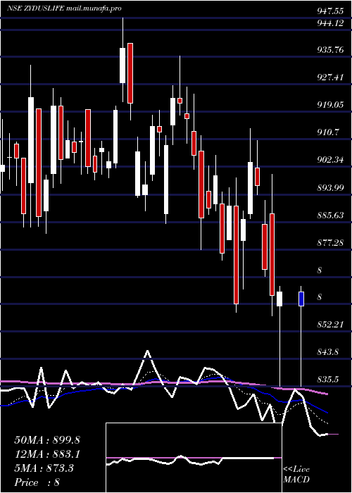 Daily chart ZydusLifesciences