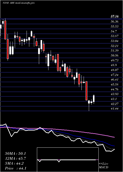  Daily chart AlexandriaReal