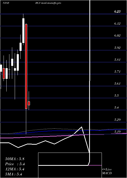  monthly chart BlackrockInternational