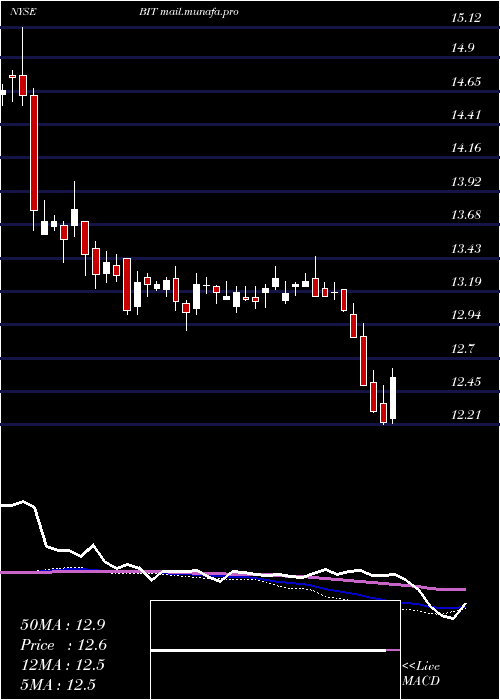  weekly chart BlackrockMulti
