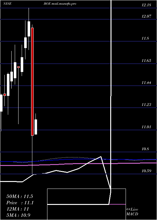  monthly chart BlackrockGlobal