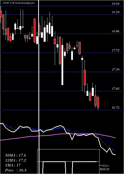  Daily chart MorganStanley