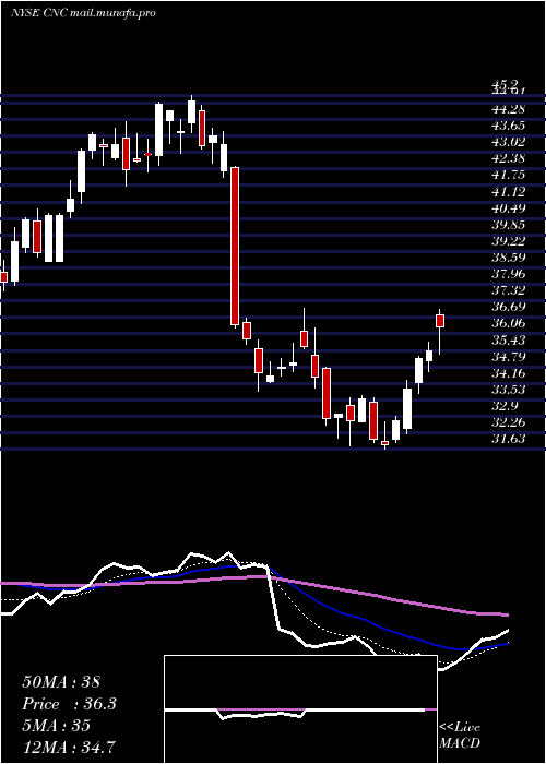  Daily chart CenteneCorporation