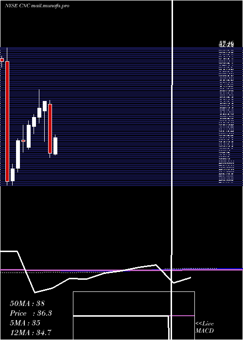  monthly chart CenteneCorporation