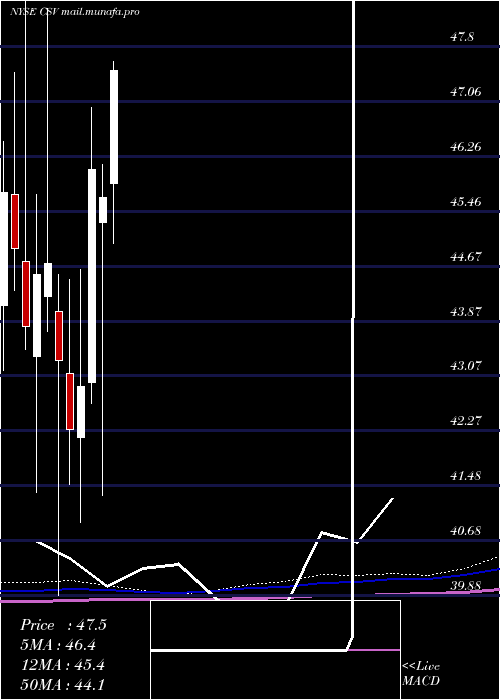  monthly chart CarriageServices