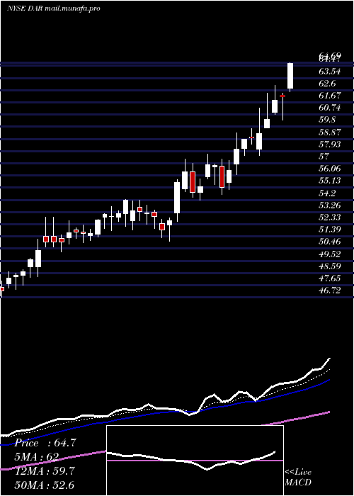  Daily chart DarlingIngredients