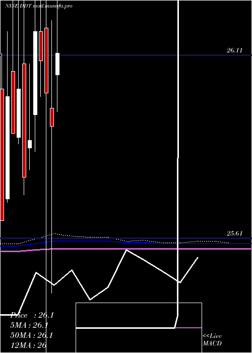  monthly chart DillardS