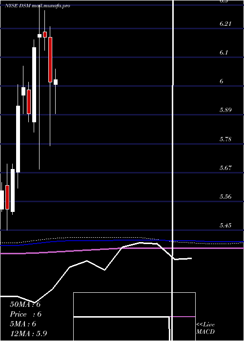  monthly chart DreyfusStrategic