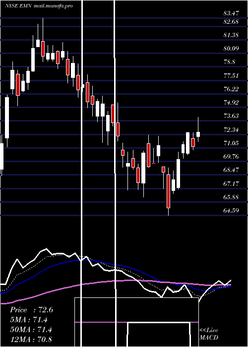  Daily chart EastmanChemical