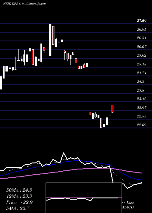  Daily chart EntertainmentPrp
