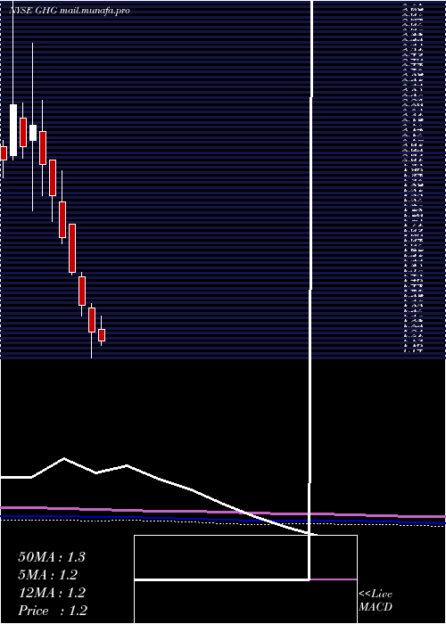  monthly chart GreentreeHospitality