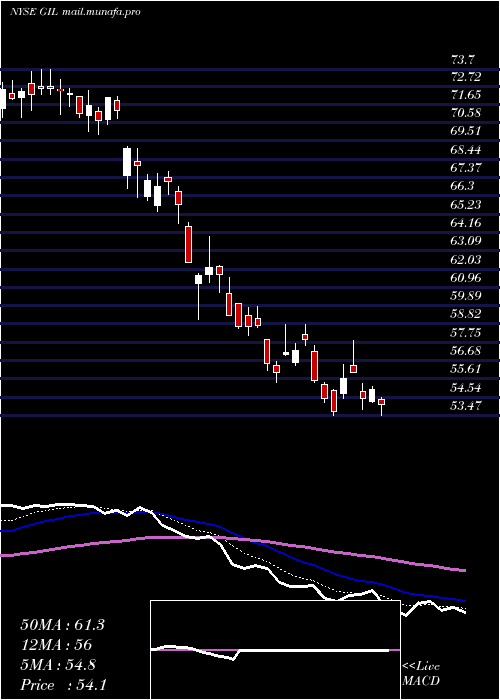  Daily chart GildanActivewear