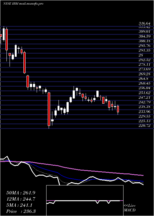  Daily chart InternationalBusiness
