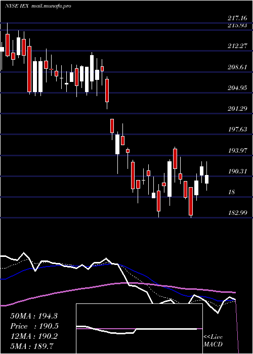  Daily chart IdexCorporation