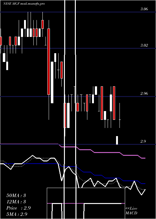  Daily chart MfsGovernment