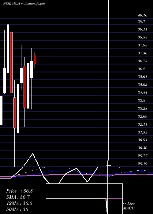 monthly chart MgmResorts
