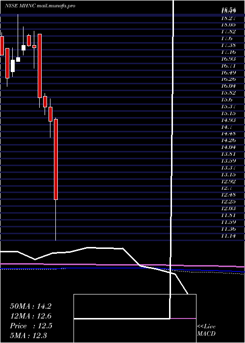  monthly chart MaidenHoldings
