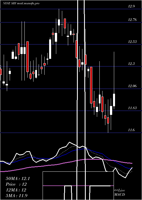  Daily chart BlackrockMuniyield