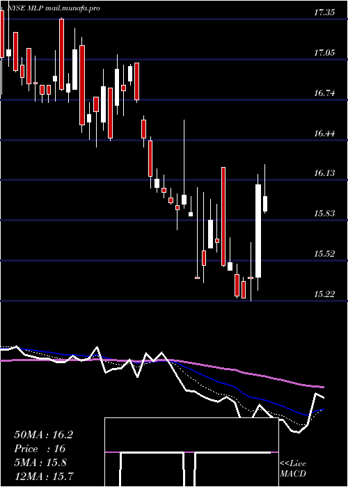  Daily chart MauiLand