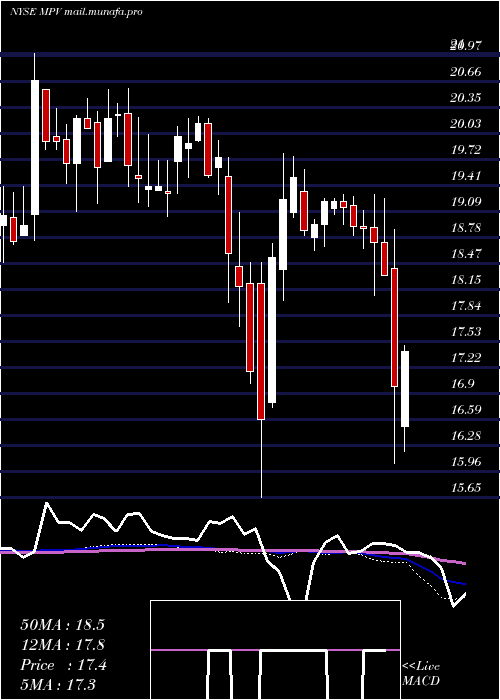  weekly chart BaringsParticipation