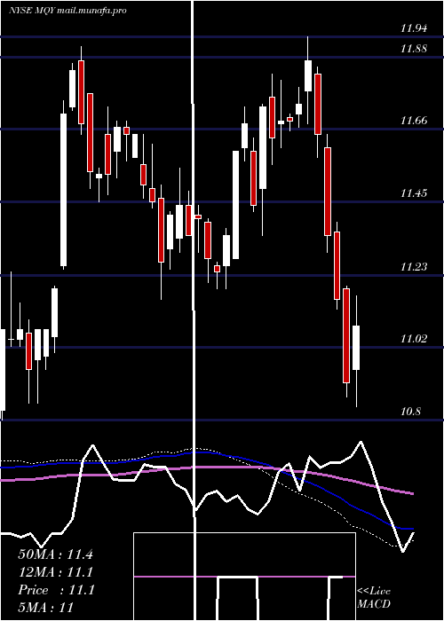  weekly chart BlackrockMuniyield