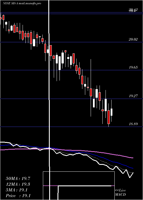  Daily chart MorganStanley