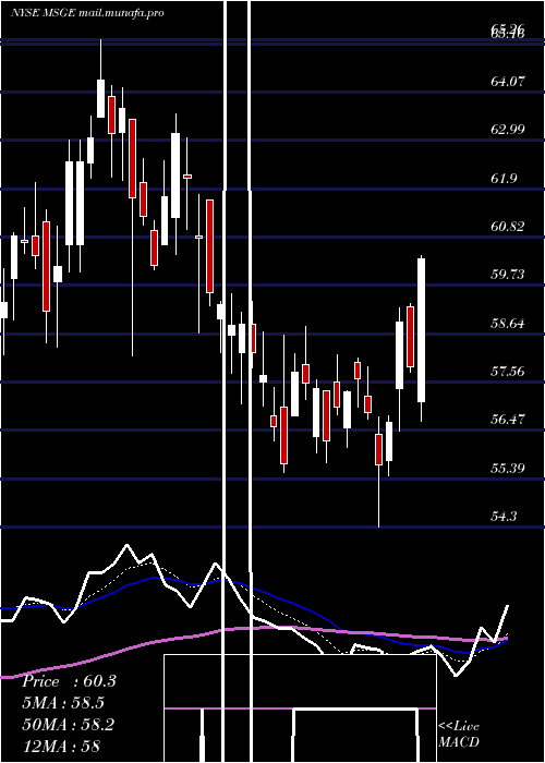  Daily chart MadisonSquare