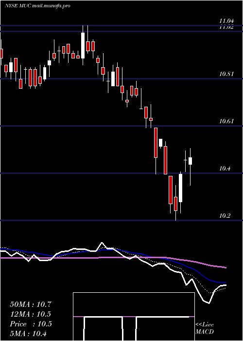  Daily chart BlackrockMuniholdings