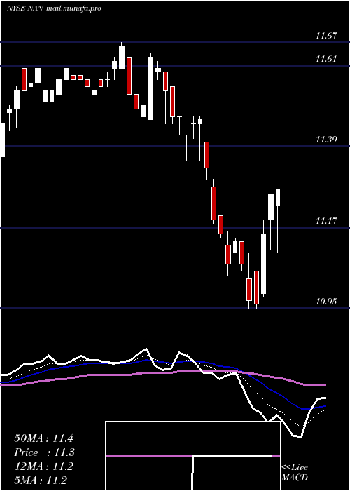  Daily chart NuveenNew