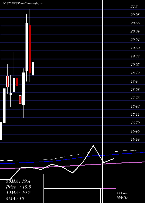  monthly chart NetstreitCorp