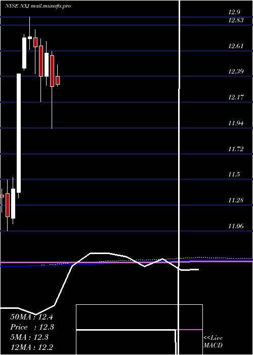  monthly chart NuveenNew