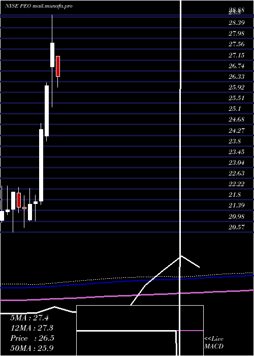  monthly chart AdamsNatural