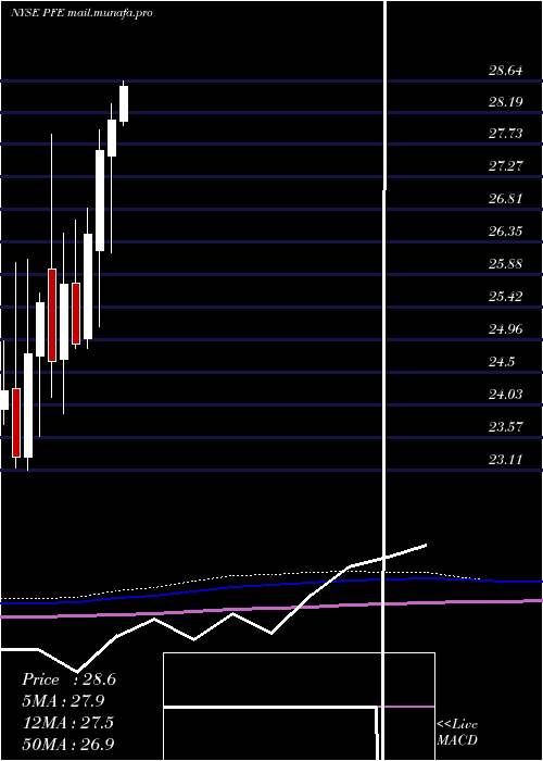  monthly chart PfizerInc